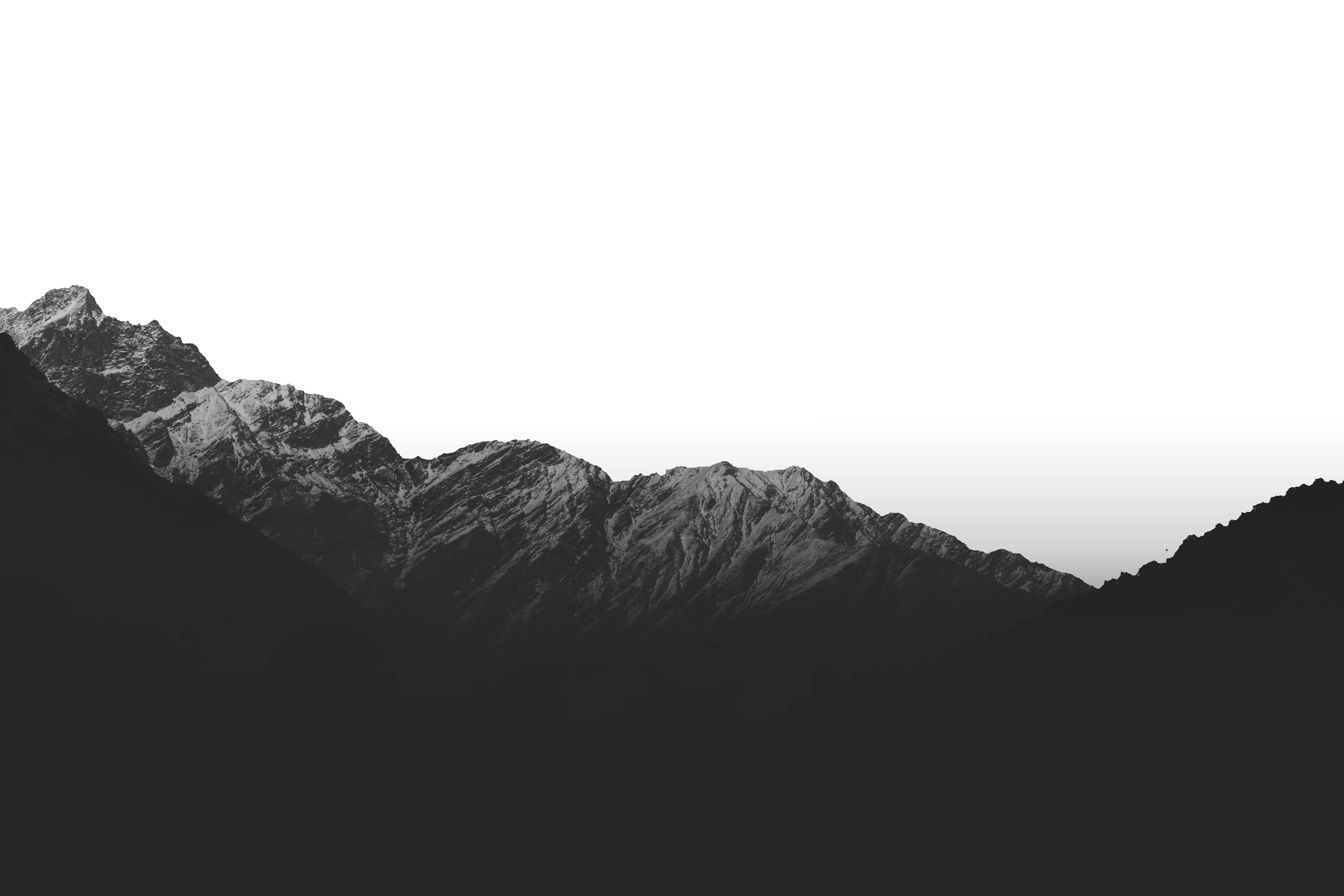 The background image of the website.